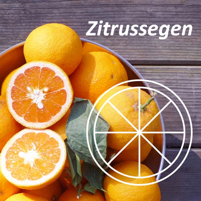 Zitronenmarmelade, Orangenmarmelade